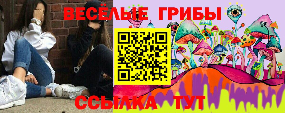Галлюциногенные грибы Psilocybine cubensis Новосибирск
