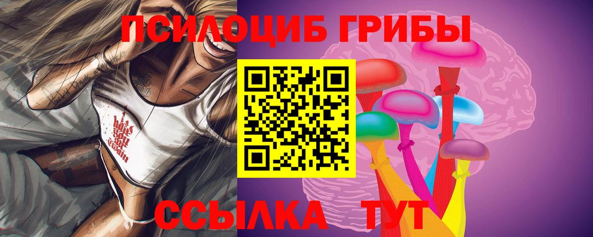 Галлюциногенные грибы мицелий  Псилоцибиновые грибы Psilocybe  Новосибирск  Вход с VPN 