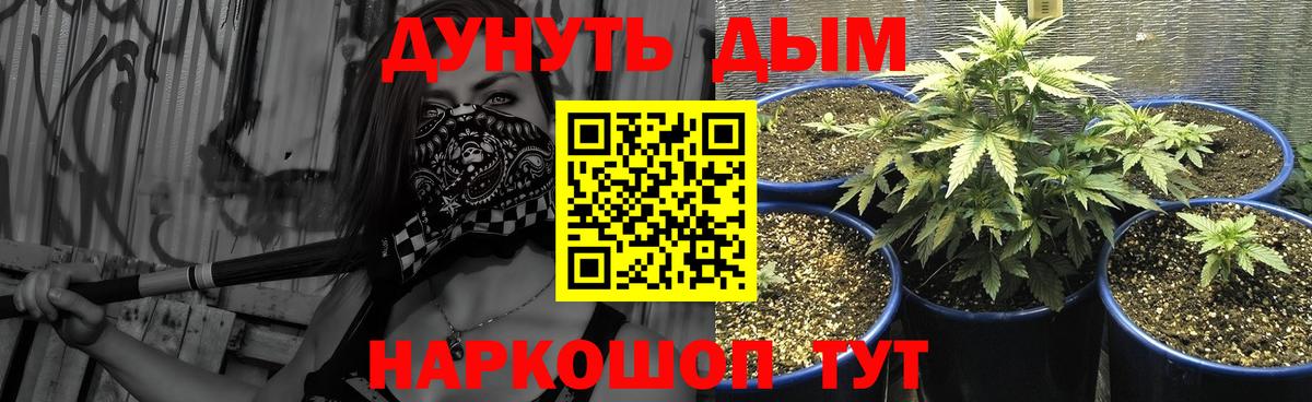 Новосибирск  Канабис конопля  Бошки Шишки ГИДРОПОН  Вход с VPN 
